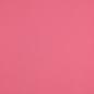 Preview: 0,5 MTR. ♥  UNI BIO BAUMWOLLJERSEY HIMBEERE ♥