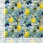 Preview: 0,5 MTR. LEMONS & OLIVES FRENCH TERRY