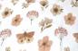 Preview: 0,5 MTR.  ♥ RIPPSTRICK BOHO BUTTERFLYS & FLOWERS ♥