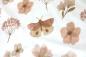 Preview: 0,5 MTR.  ♥ RIPPSTRICK BOHO BUTTERFLYS & FLOWERS ♥