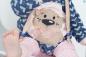 Preview: 5 ♥ SATIN Schleifchen PEACH ♥