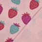 Preview: 0,50 MTR. STRAWBERRY ROSE SOFT KUSCHEL SWEAT