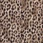 Preview: 0,5 MTR.♥ VISKOSE SOFT WILD LEO LEICHT ELASTISCH ♥