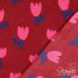 Preview: 0,5 MTR. ♥ TULIP TEDDY BEERE - TULPEN ♥