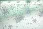 Preview: 0,5 MTR. ♥ WEICHER EISKRISTALL TüLL MINT ♥