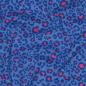 Preview: 0,5 MTR. ♥ RIPPSTRICK JERSEY LEO ROYAL BLAU ♥