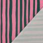 Preview: 0,5 MTR.  STREIFEN STRIPES PINK/GRÜN FRENCH TERRY
