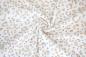 Preview: 0,5 MTR. ♥ RIPPSTRICK JERSEY LEO CREAMY NATUR ♥