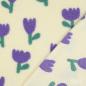 Preview: 0,5 MTR. ♥ TULPEN TEDDY FLIEDER ♥