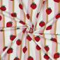 Preview: 0,50 MTR. ♥ BERRY STRIPES ERDBEER JERSEY  ♥