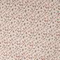 Preview: 0,50 MTR. HERBST STREUBLÜMCHEN  FRENCH TERRY
