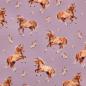 Preview: 0,50 MTR.  ♥ PFERDETRAUM LAVENDEL DIGITAL JERSEY ♥