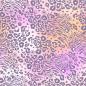 Preview: 0,5 MTR.♥ WILD LEO FLOWERS MULTICOLOUR - EIGENPRODUKTION ♥