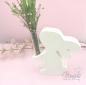 Preview: 1 STÜCK ♥ GIESSFORM SILIKON HASE BLUMENHALTER + 1 REAGENZGLAS ♥