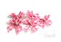 Preview: 5 ♥Schleifchen♥ Vichy ROSA