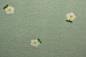 Preview: 0,5 MTR. ♥ TEDDY DAISIES MINT ♥