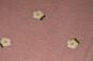 Preview: 0,5 MTR. ♥ TEDDY DAISIES ROSA  ♥