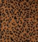Preview: 0,5 MTR. ♥ LEO TEDDY BRAUN/SCHWARZ ♥