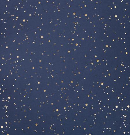 0,50 MTR. ♥ GOLDEN BLUSH FOIL NAVY JERSEY ♥