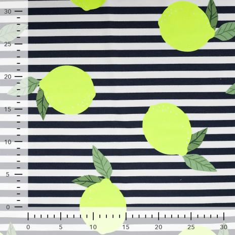 0,50 MTR. NEON ZITRONEN - NAVY STRIPES - FRENCH TERRY