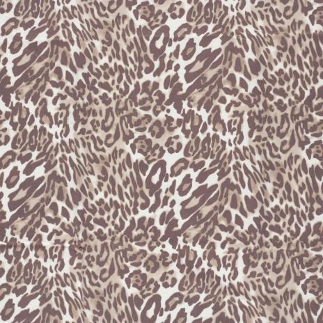 0,5 MTR. ♥ LEO BENGALIN ♥