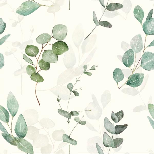 0,5 MTR. ♥ REGENJACKEN STOFF EUKALYPTUS - WASSERDICHT ♥