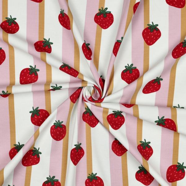 0,50 MTR. ♥ BERRY STRIPES ERDBEER JERSEY  ♥