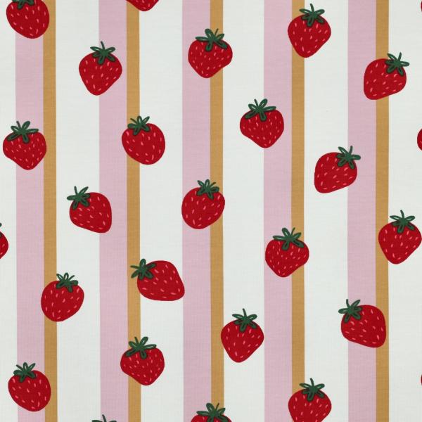 0,50 MTR. ♥ BERRY STRIPES ERDBEER JERSEY  ♥