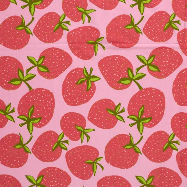 0,50 MTR.  ♥ SoMMER SoNNE ERDBEERZEIT JERSEY ♥