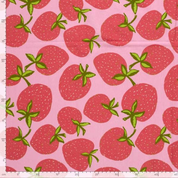 0,50 MTR.  ♥ SoMMER SoNNE ERDBEERZEIT JERSEY ♥